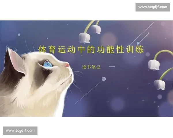 体育运动康复全方位指导与功能性训练提升方案研究